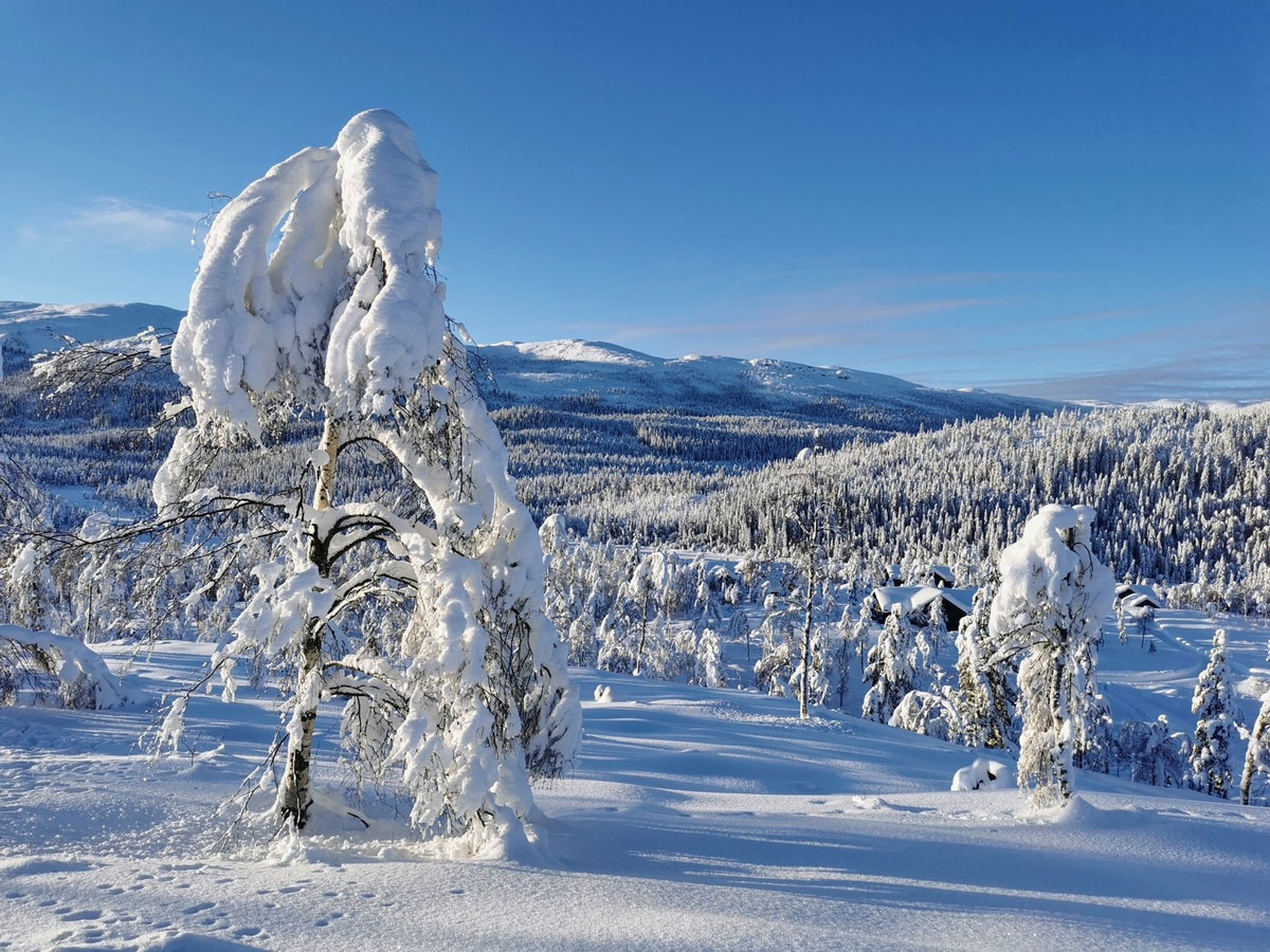 Vinter-Killingtjern-Vikerfjell_1200.jpg
