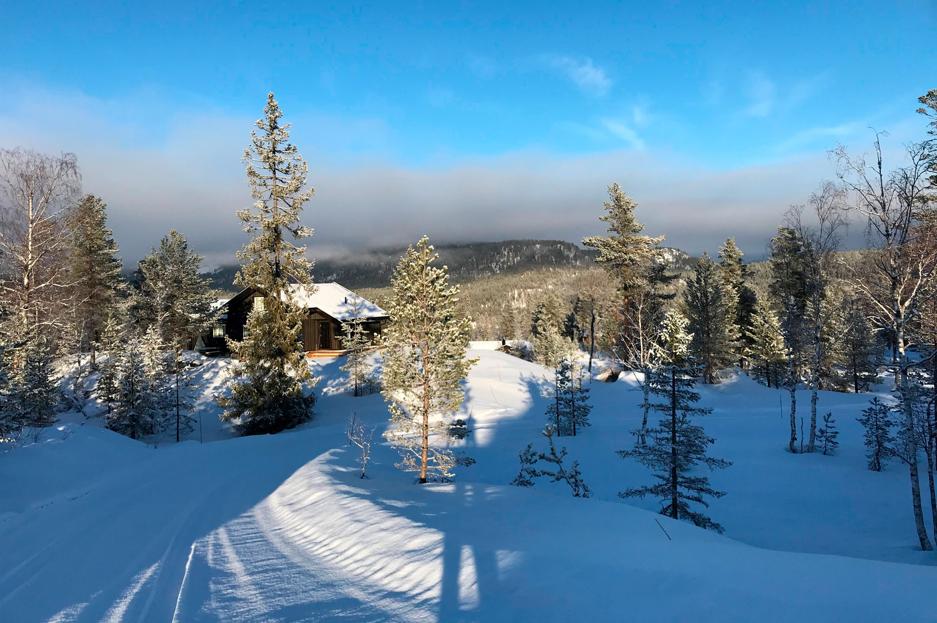 lia-vinter-jan-19_1920.jpg
