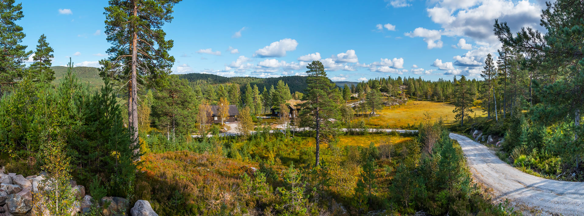 Lia_155Panorama_1920.jpg