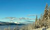 image006_web.jpg