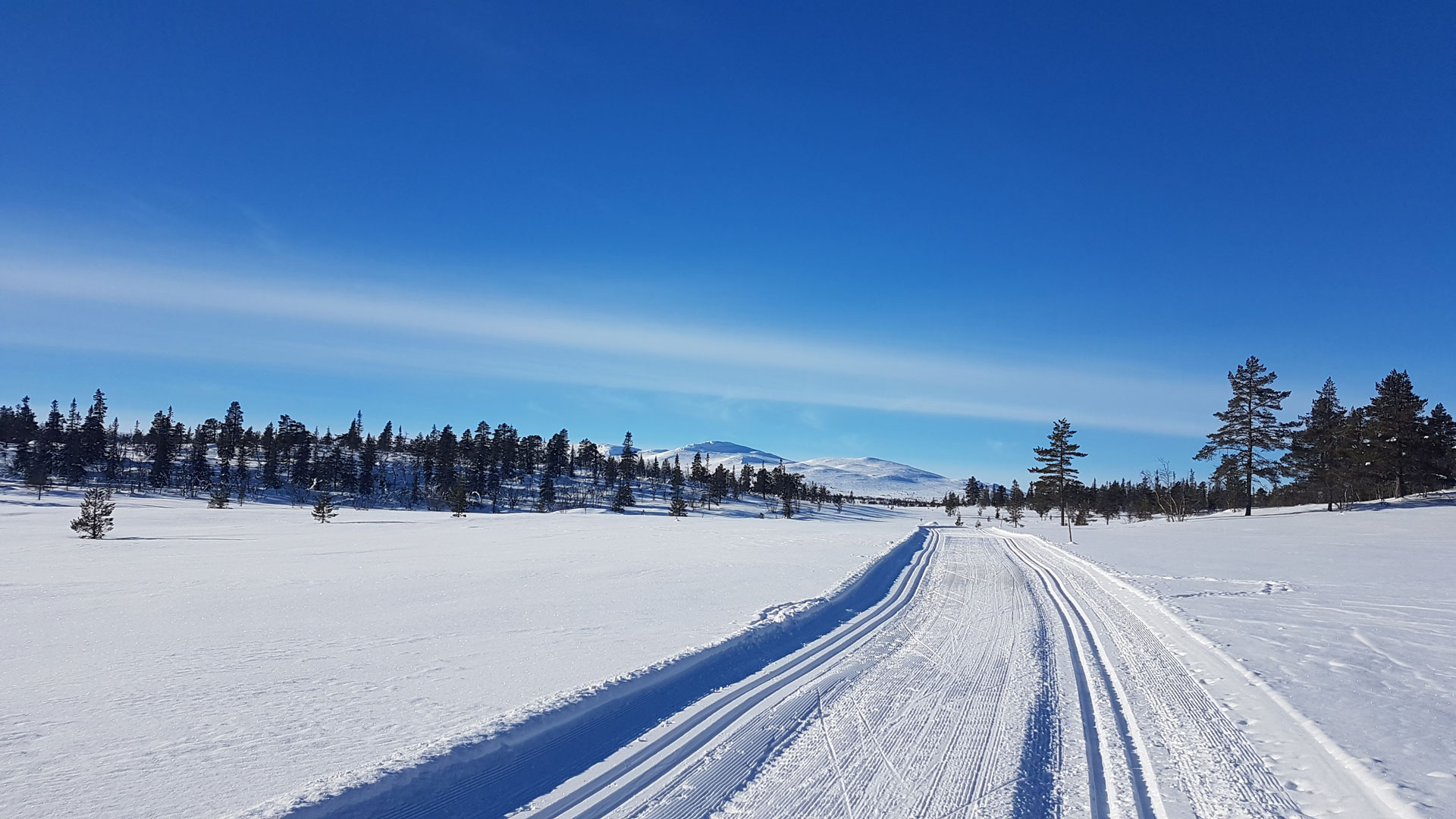 Ski-seterloypa.jpg