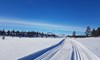 Ski-seterloypa.jpg